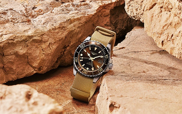 掌握浪琴機(jī)芯修復(fù)的藝術(shù):受損腕表煥新指南(圖) 掌握浪琴機(jī)芯修復(fù)的藝術(shù):受損腕表煥新指南(圖)